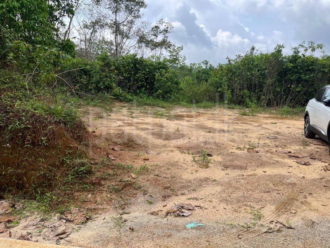 Agricultural Land for Sale in Handapangoda
