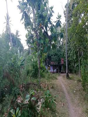 House for Sale in Hettipola