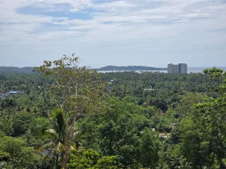 Commercial Land for Sale in Weligama ads-image-1