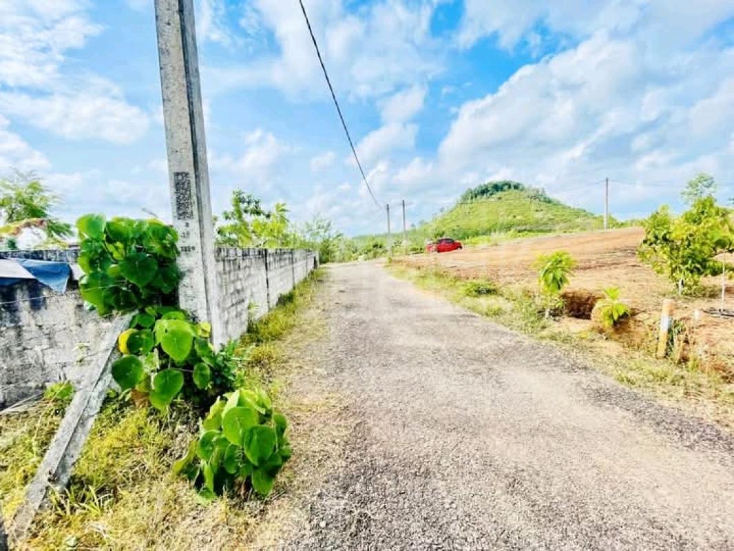 Commercial Land for Sale in Dodangoda