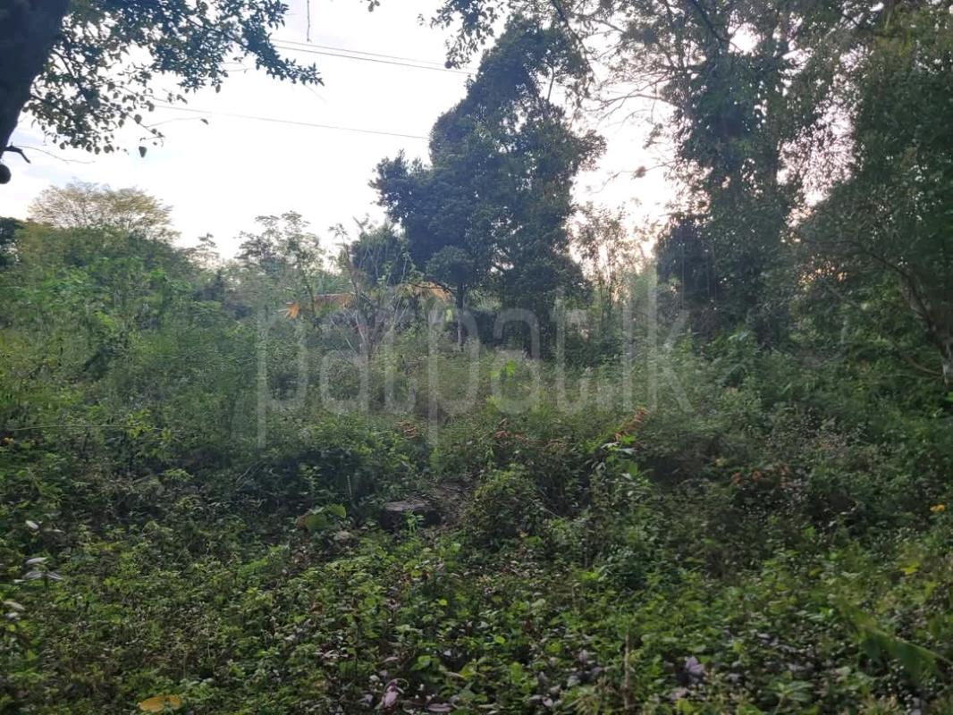 Residential Land for Sale in Unawatuna ads-image-1