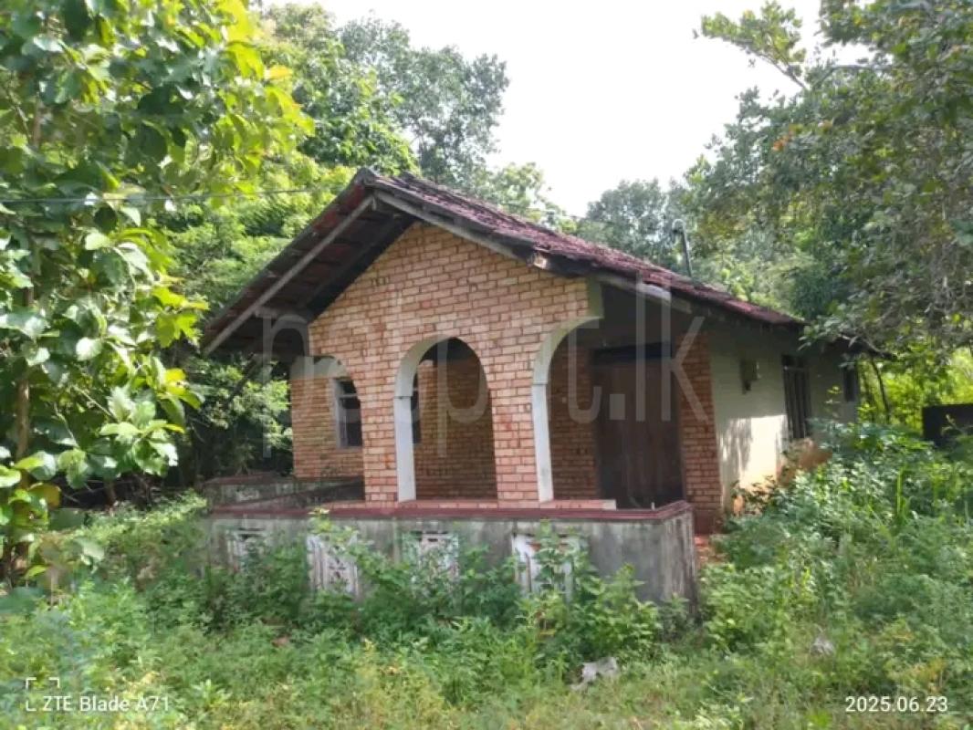 House for Sale in Ranna ads-image-1