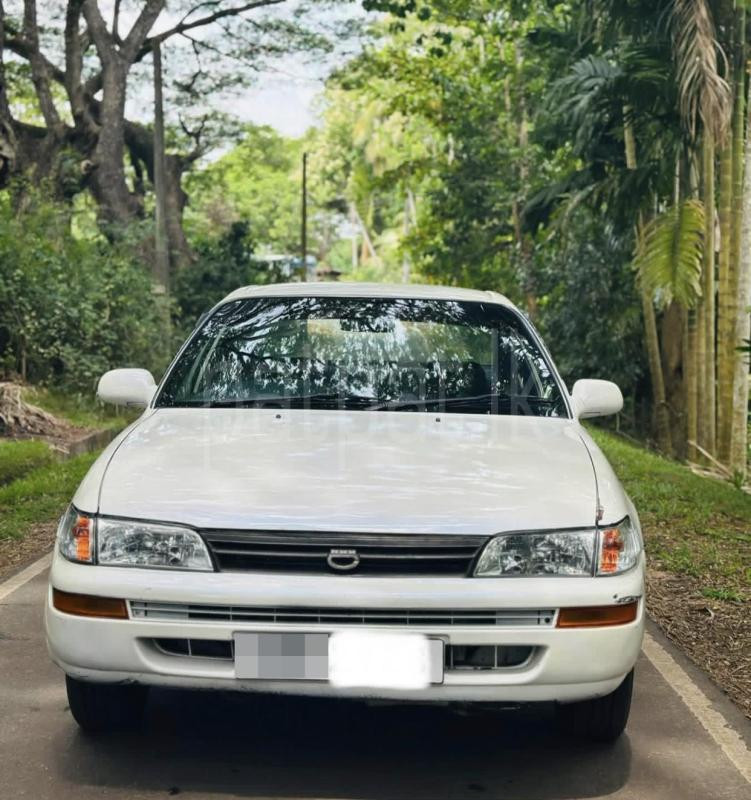 Toyota Corolla 1991 - භාවිතා කරන ලද කාර් sale in Sri Lanka - patpat.lk
