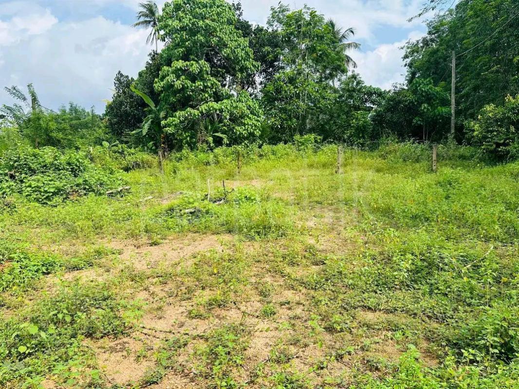 Residential Land for Sale in Panadura