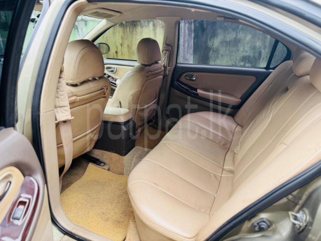 Advertisement image 6