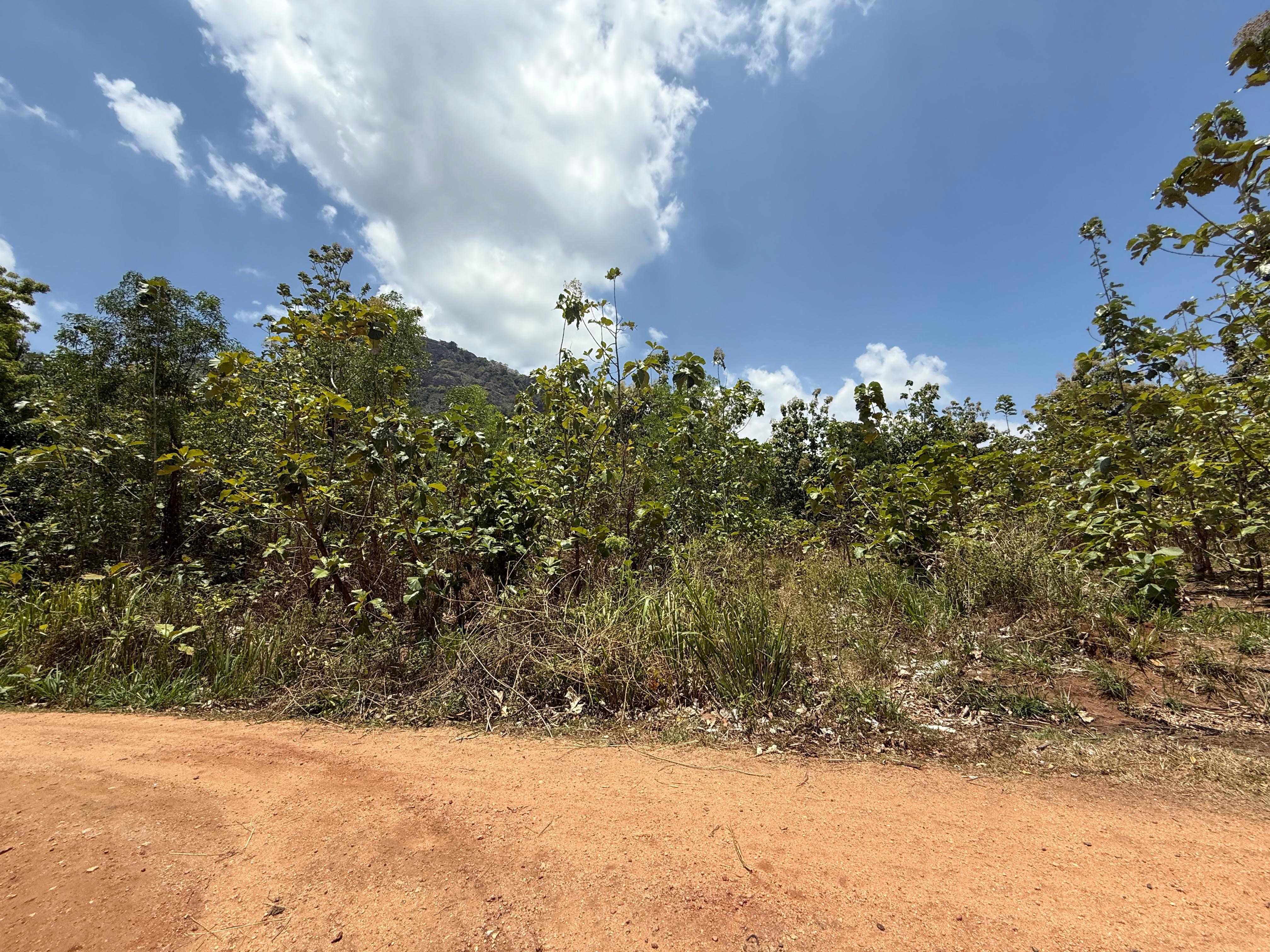 Residential Land for Sale in Lenadora