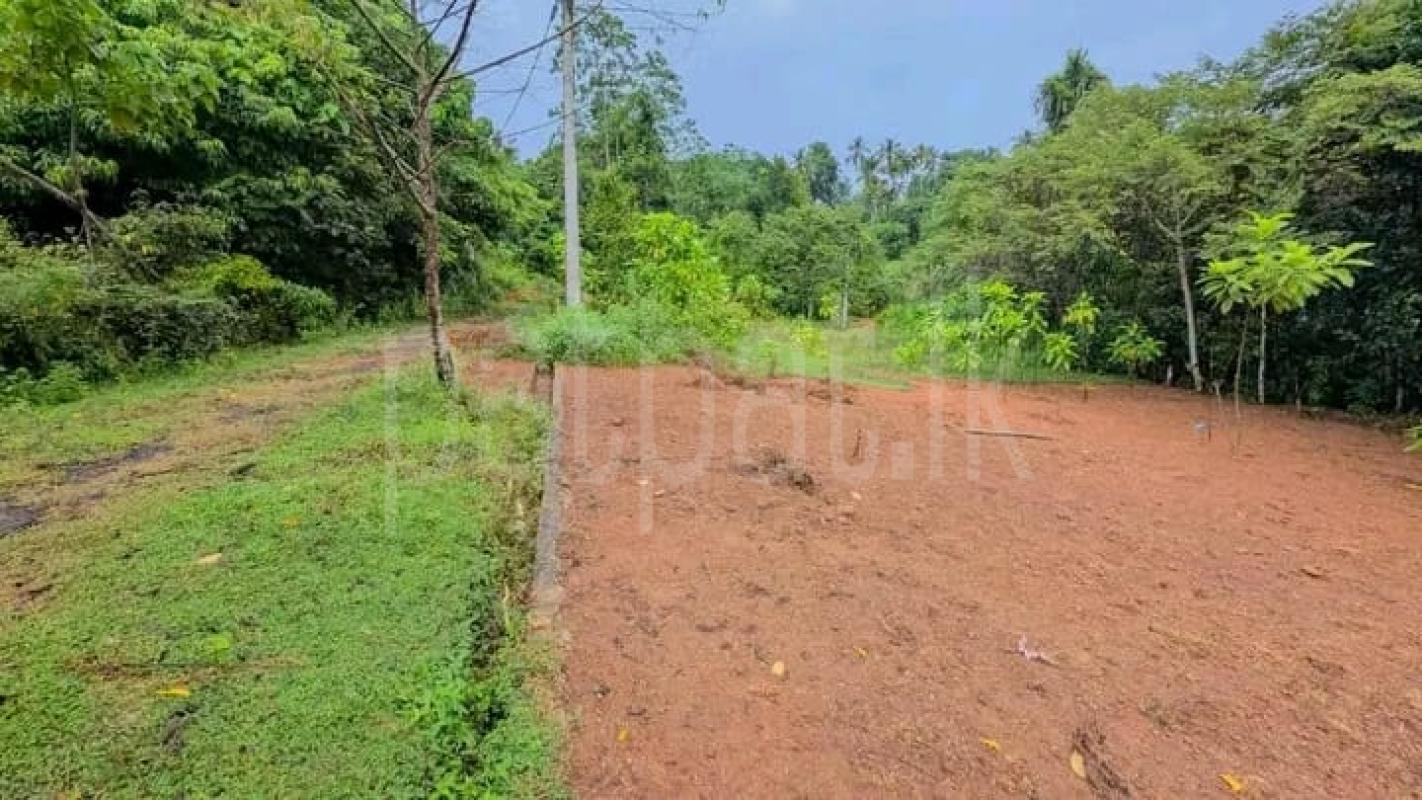Commercial Land for Sale in Nittambuwa