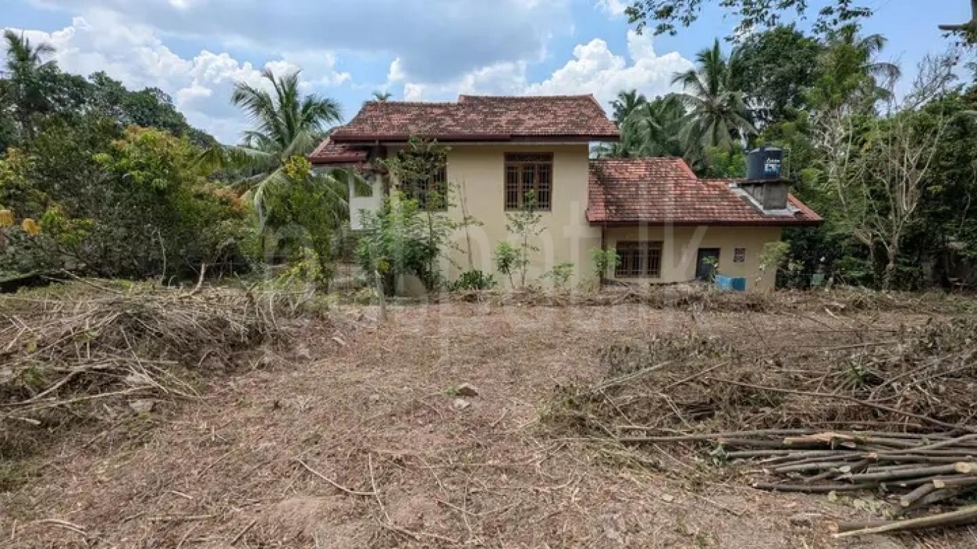 Commercial Land for Sale in Minuwangoda ads-image-1