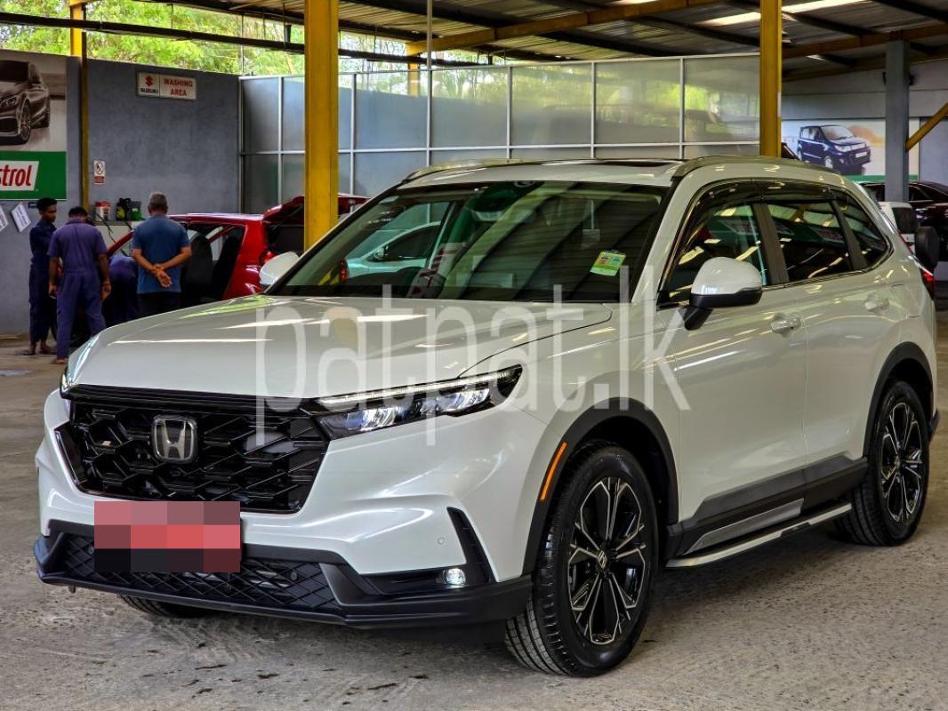 Advertisement image 3