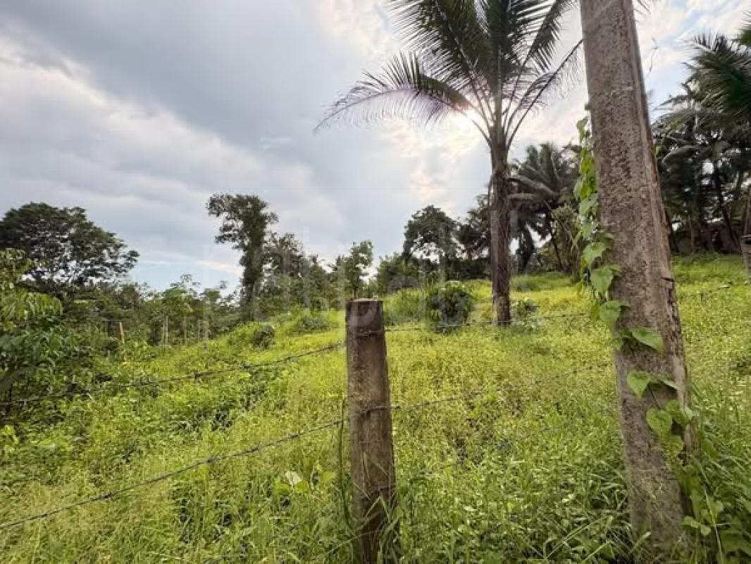 Residential Land for Sale in Godagama ads-image-1