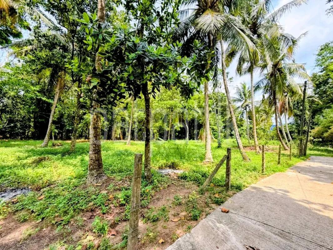 Residential Land for Sale in Malabe