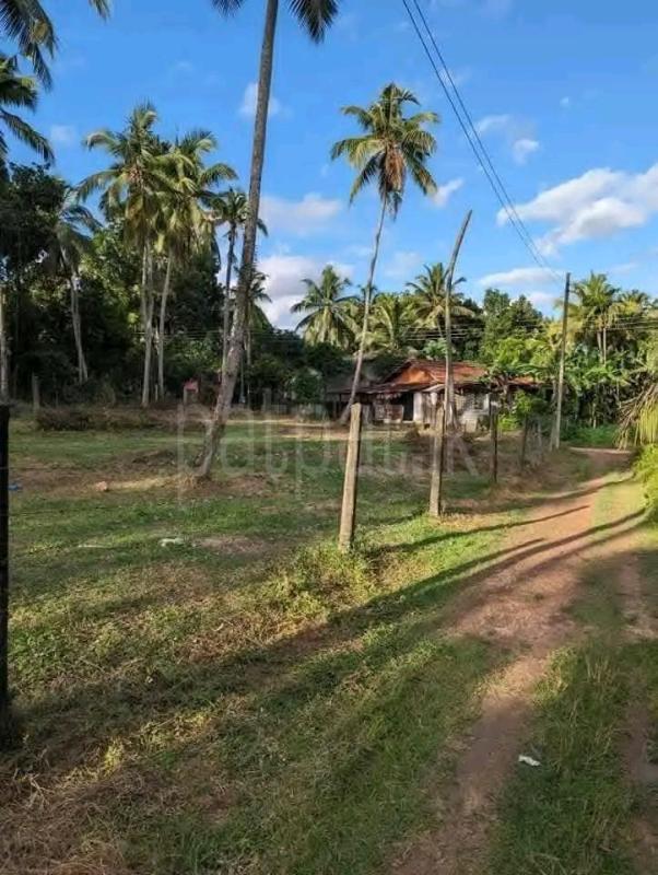 Agricultural Land for Sale in Maho