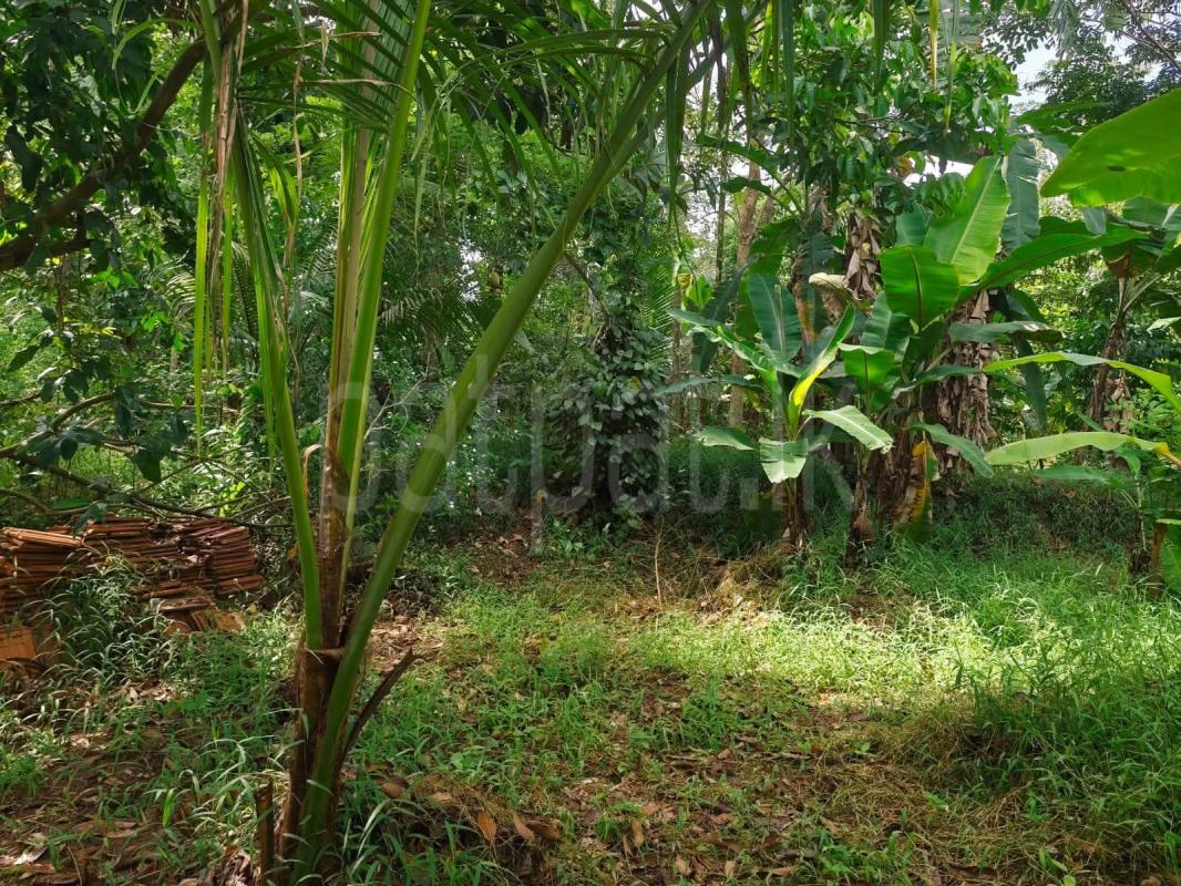 Residential Land for Sale in Mirigama