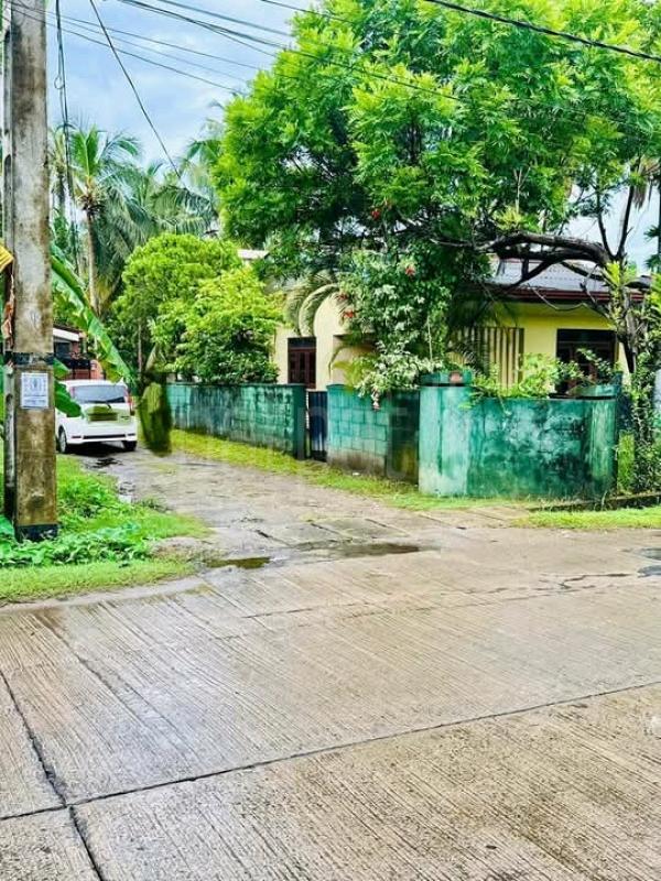 Commercial Land for Sale in Wattala ads-image-1