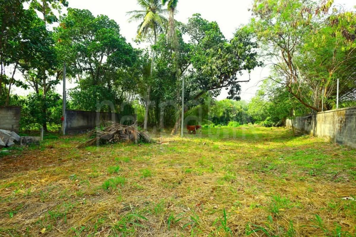 Residential Land for Sale in Rajagiriya