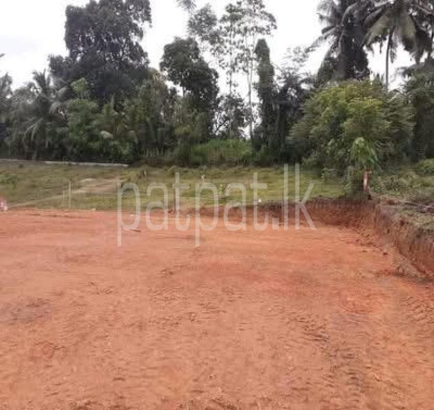 Residential Land for Sale in Koholana