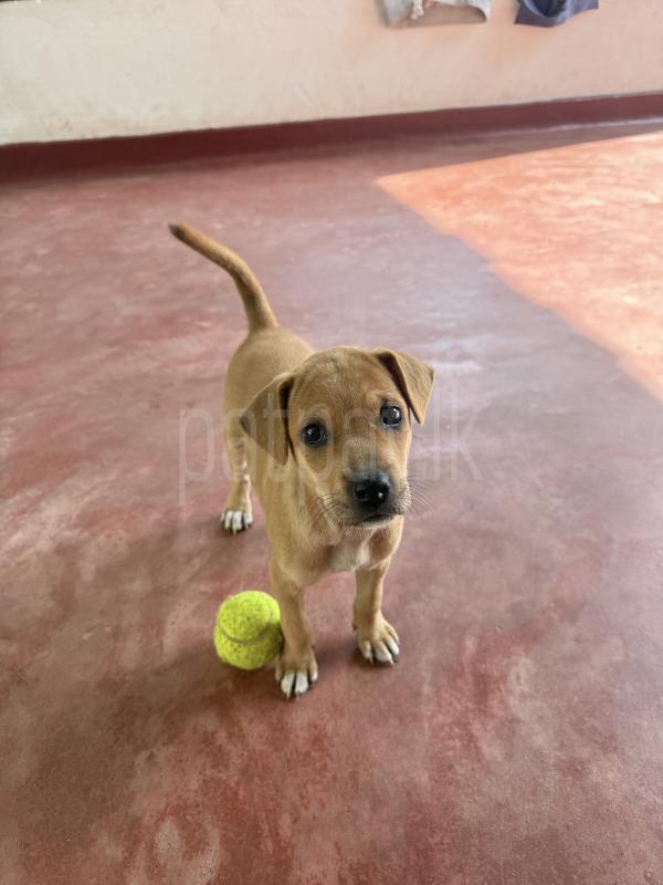 Advertisement image 4