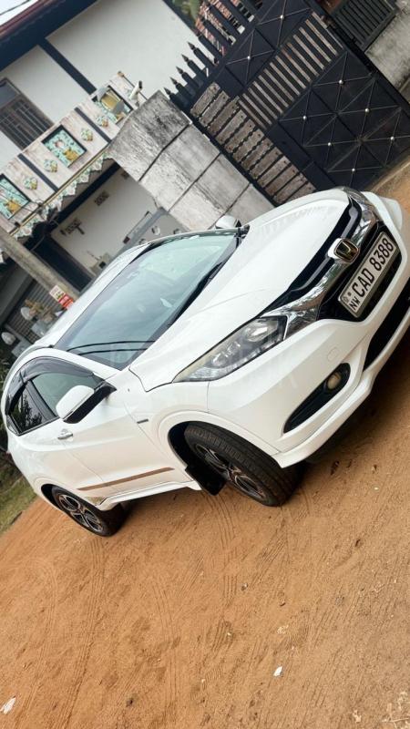 Advertisement image 3