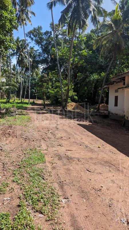 Commercial Land for Rent in Raddolugama