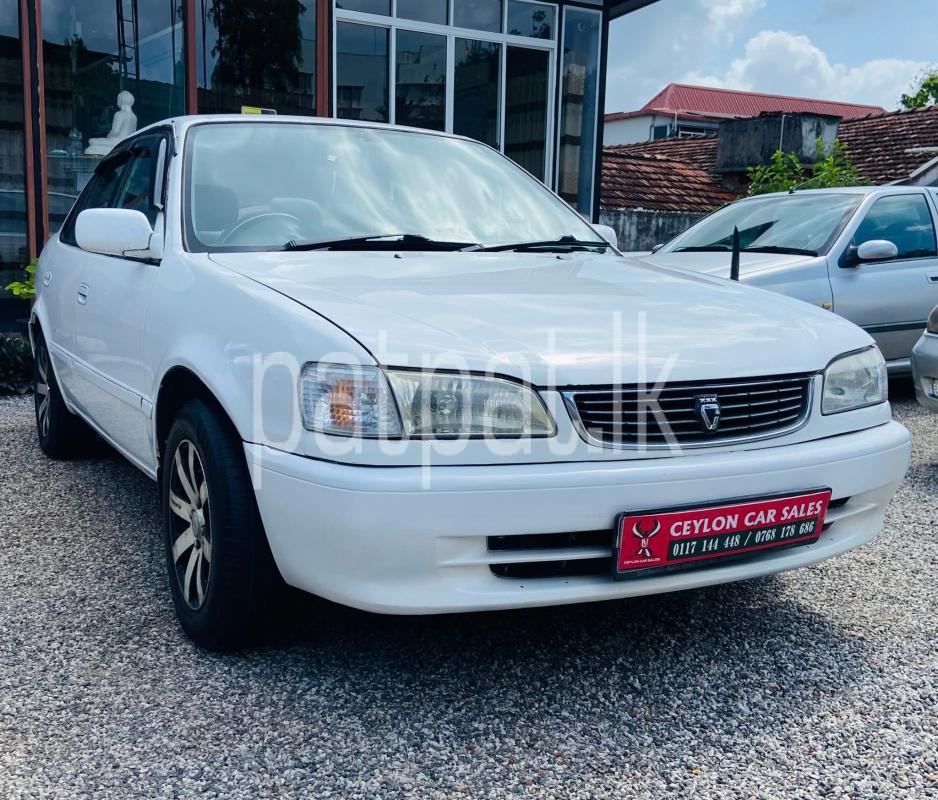 Advertisement image 5