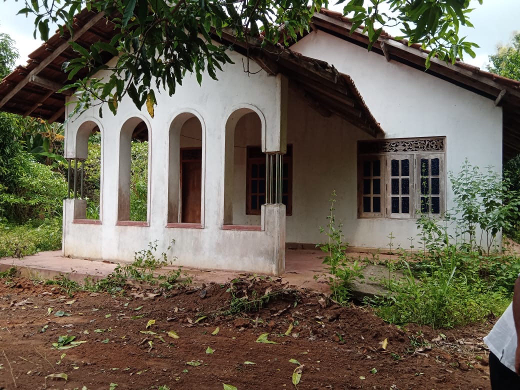 Agricultural Land for Sale in Hungama ads-image-1