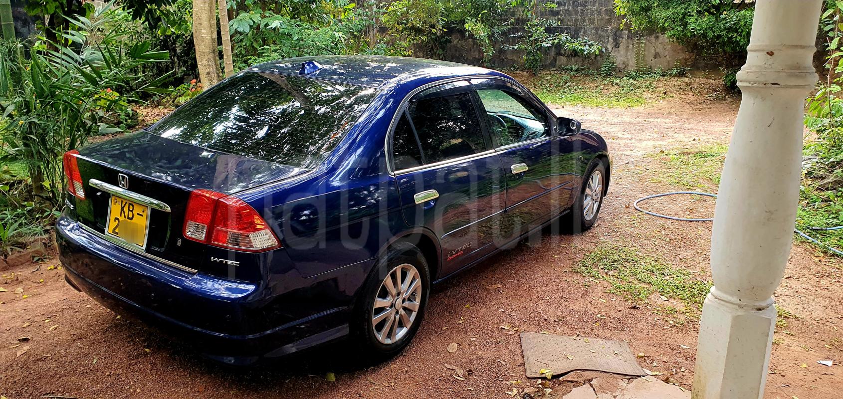 Advertisement image 2