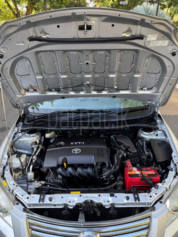 Advertisement image 3