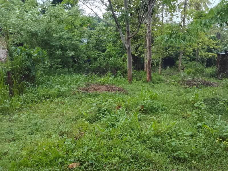 Residential Land for Sale in Kurunegala