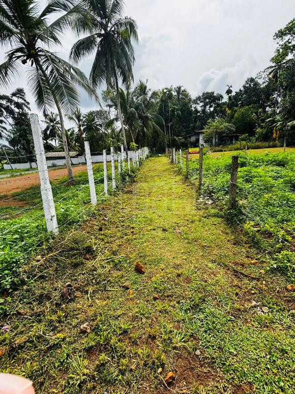 Residential Land for Sale in Bandaragama