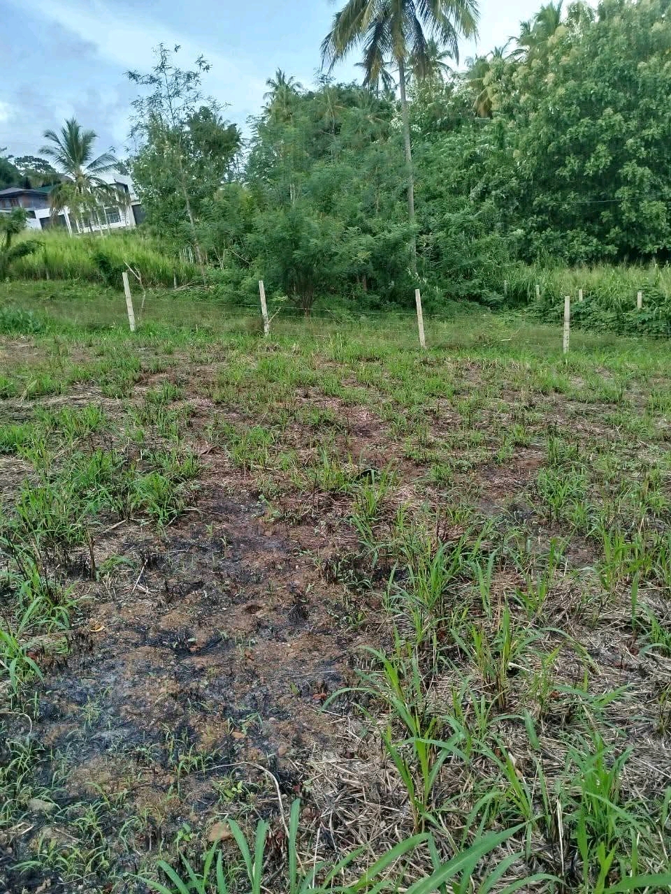 Agricultural Land for Sale in Maho