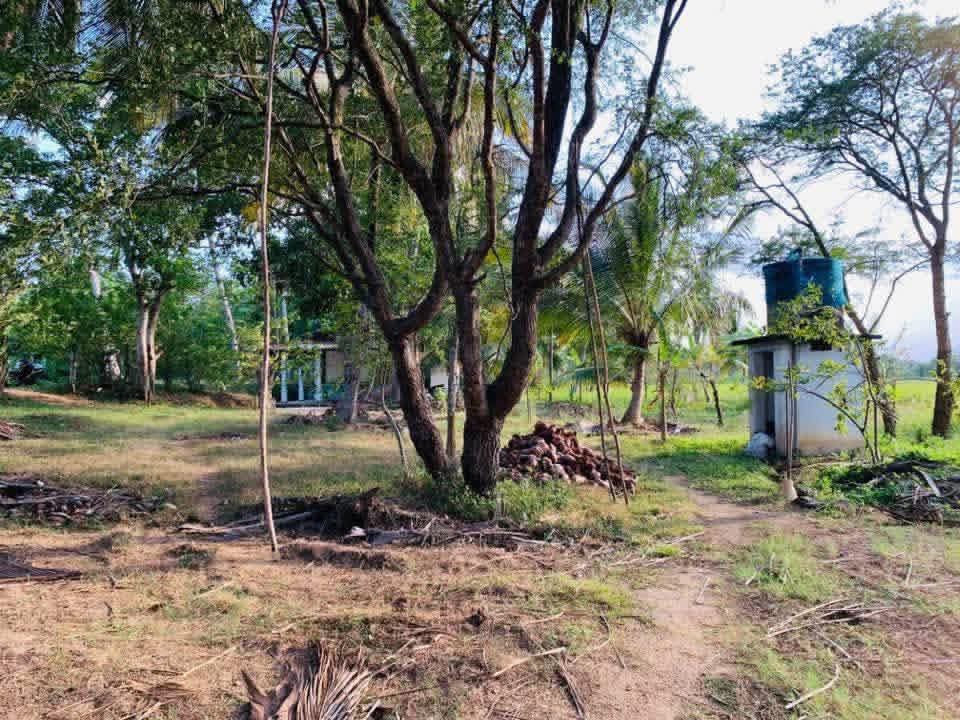 Agricultural Land for Sale in Sewanagala