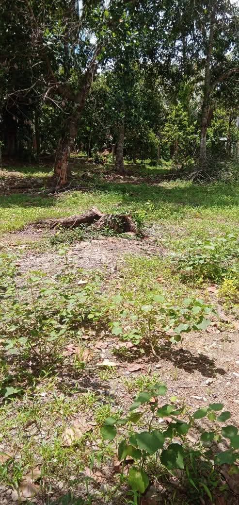 Agricultural Land for Sale in Kirillawala