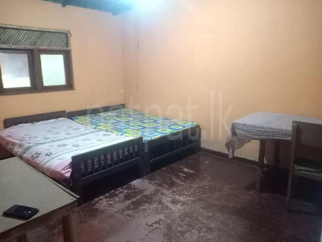 premium-listing-image