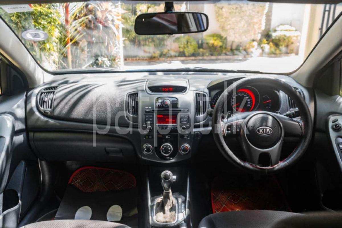 Advertisement image 3