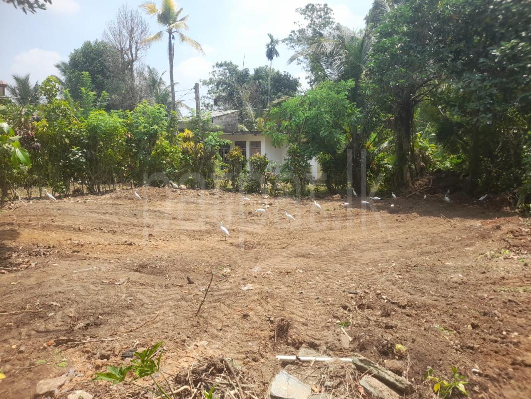 Residential Land for Sale in Pannipitiya