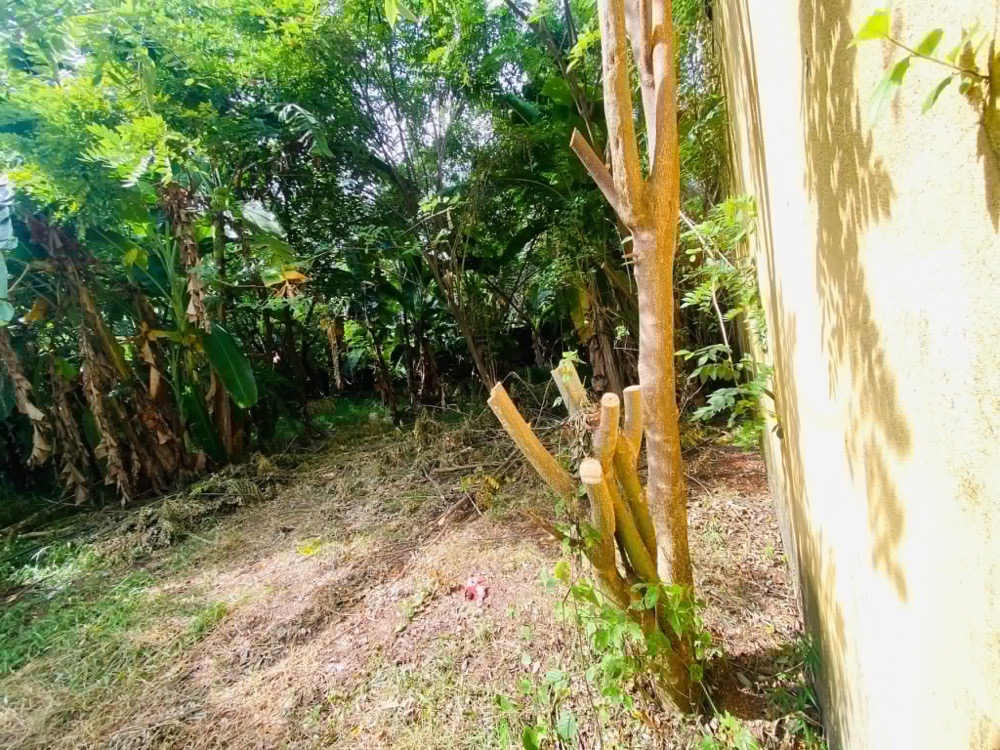 Residential Land for Sale in Nugegoda