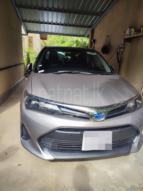 Toyota Axio 2025 - Brand New Car sale in Sri Lanka - patpat.lk