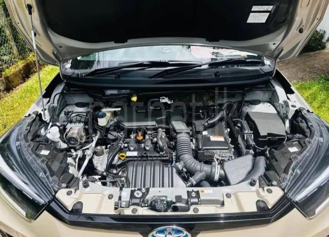 Advertisement image 6