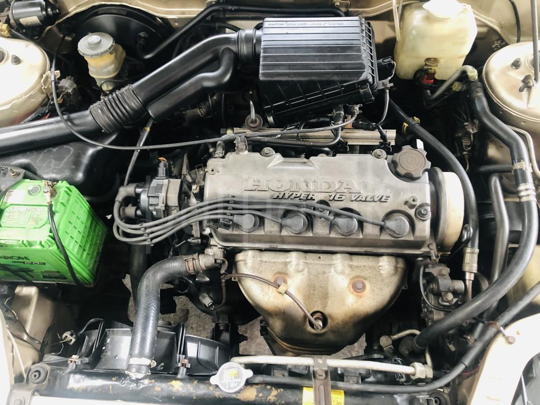 Advertisement image 5