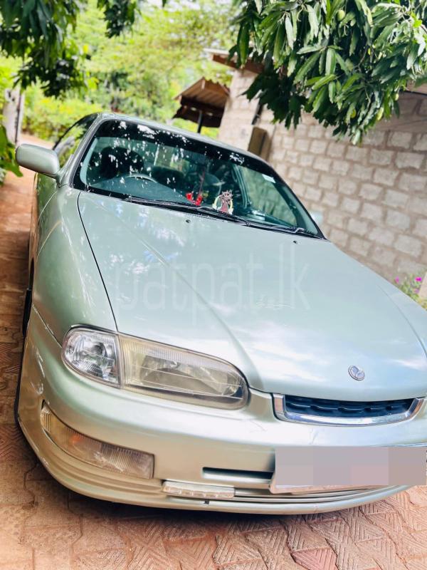 Advertisement image 1