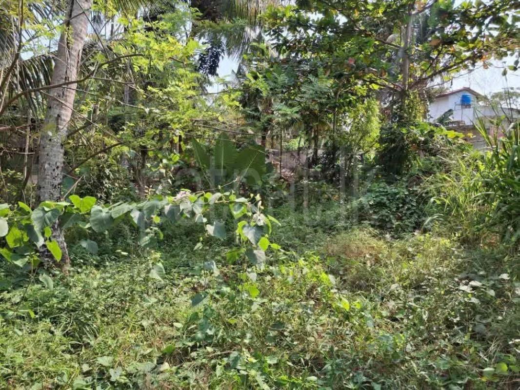 Agricultural Land for Sale in Panadura