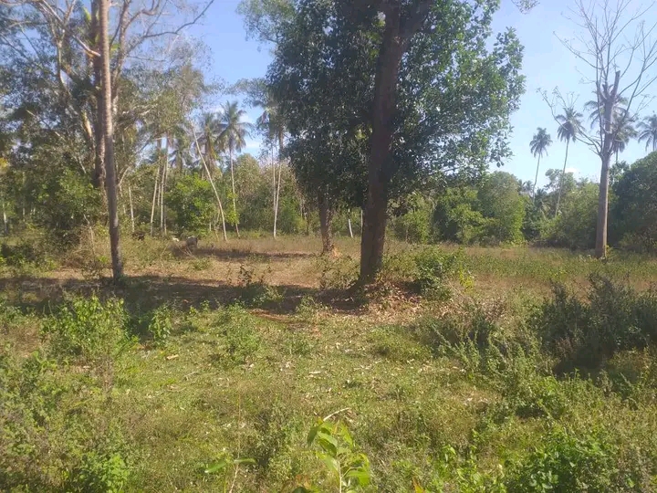 Commercial Land for Sale in Hambantota