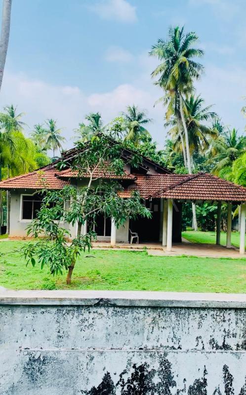 House for Sale in Wennappuwa
