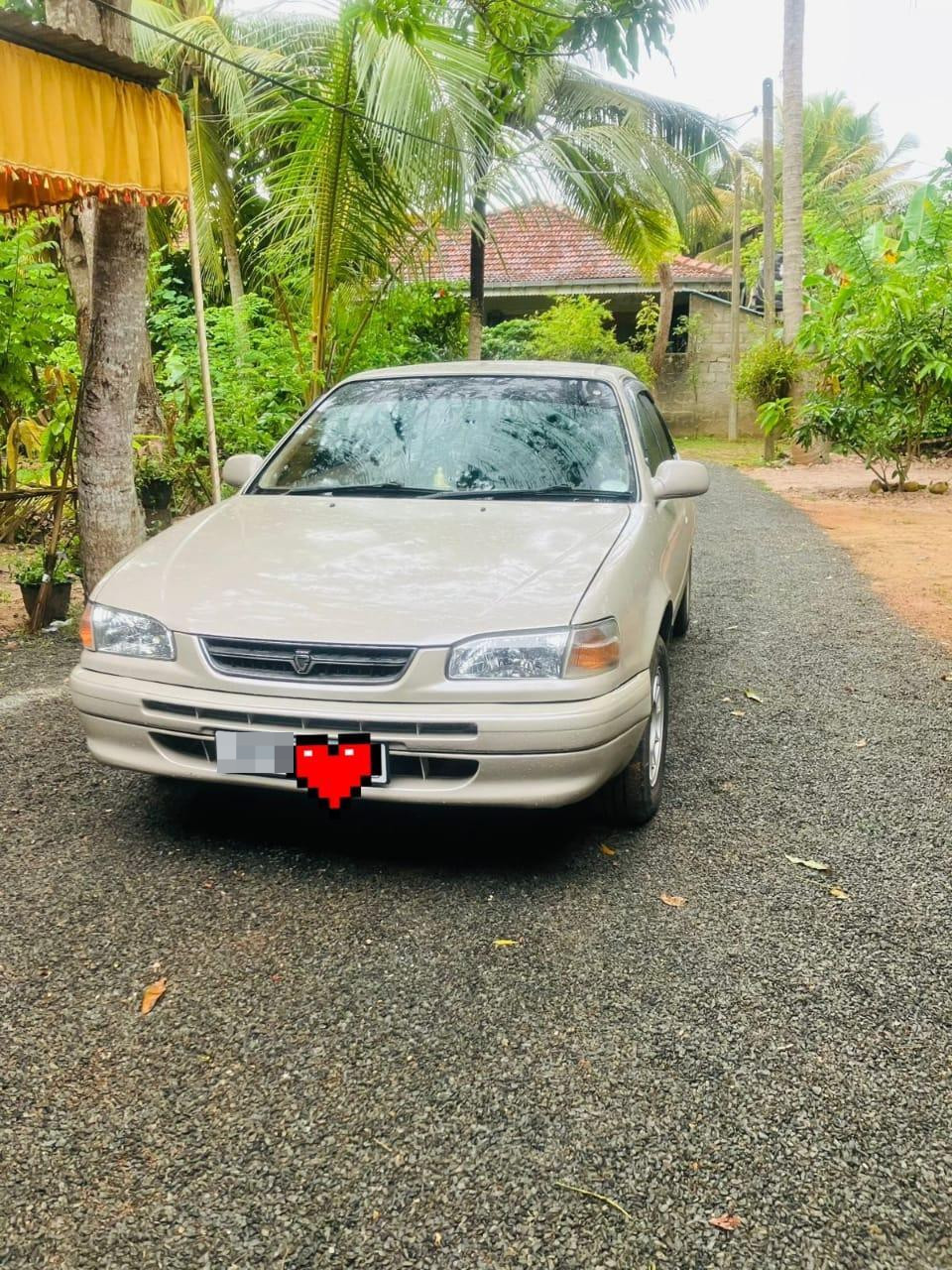 Toyota Corolla 1999 - Used Car sale in Sri Lanka - patpat.lk