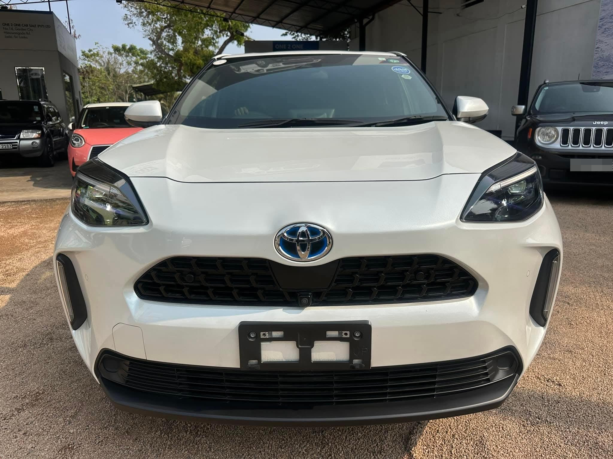 Advertisement image 3