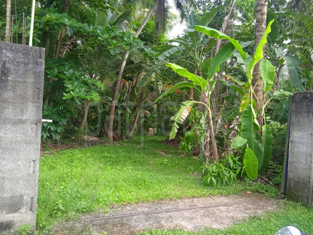 Residential Land for Sale in Divulapitiya