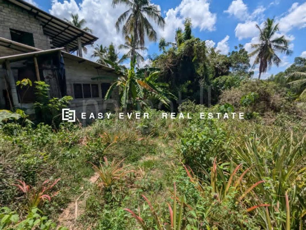 Residential Land for Sale in Ganemulla