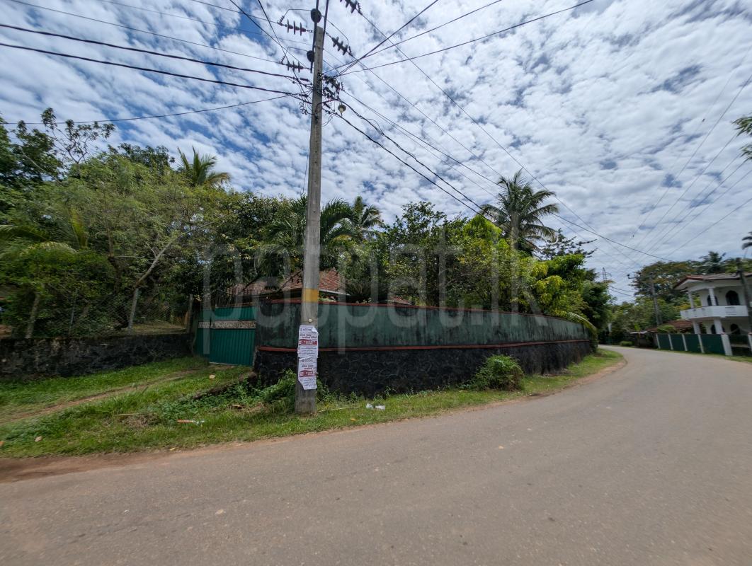 Advertisement image 1