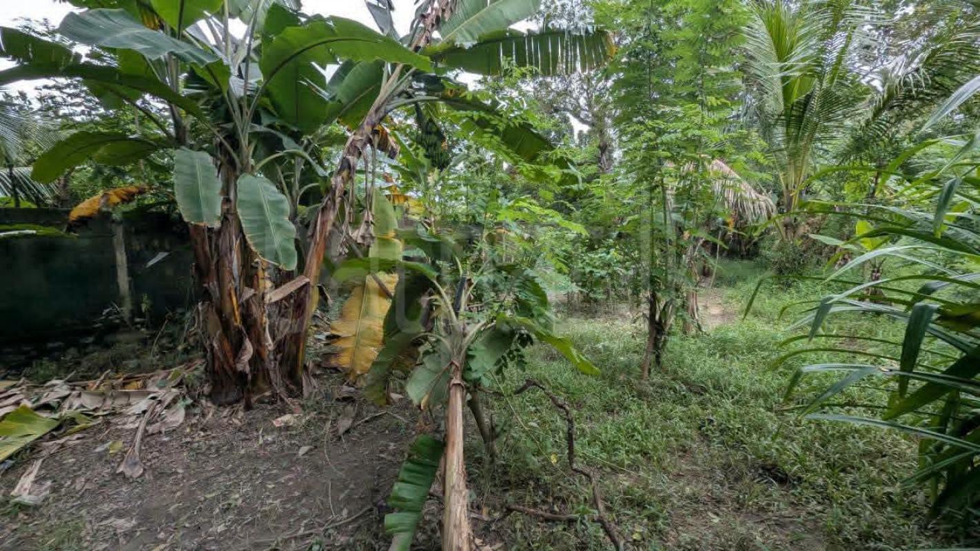 Residential Land for Sale in Gampaha