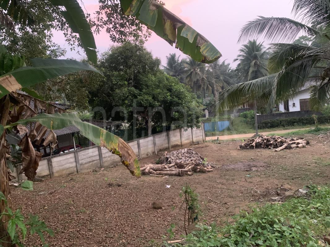 Residential Land for Sale in Padukka
